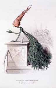 Zanahoria Parlamentaria, ilustración de 